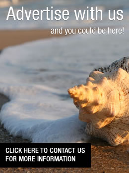 Advertise with Baja Surf Adventures