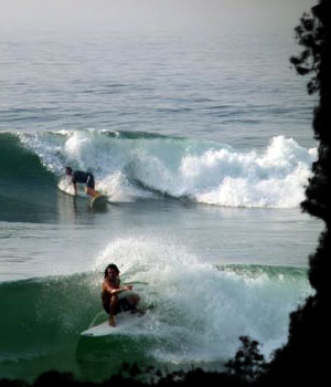 Contact Baja Surf Adventures