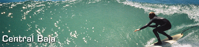 Destination Surf