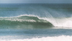 Destination Surf