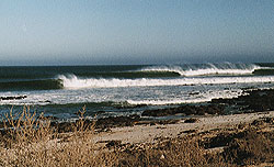 Baja Surfing