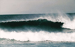 Surfing In Mexico Spring Break
