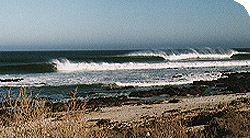 Waves in Central Baja.