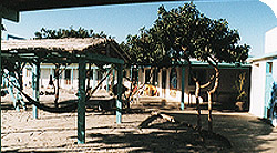 Wave at the Surf Resort
