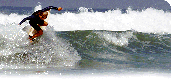 Baja Surf Adventures