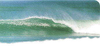 Baja Surf Adventures