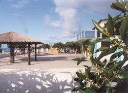 Click This Image For A Larger view